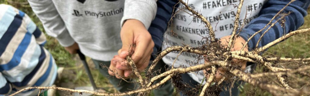 Neues aus der Garten-AG