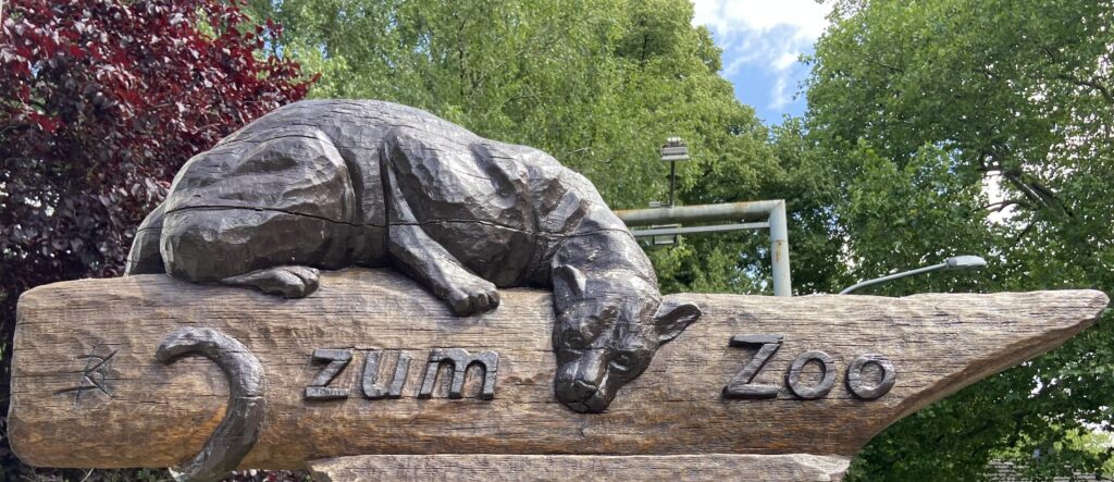 Ein Besuch im Zoo
