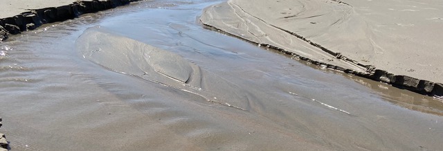 Sachunterricht in der Känguru-Klasse: Boote bauen und schwimmen lassen