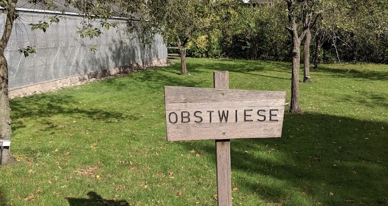 Die Spinne im Apfelsaft 