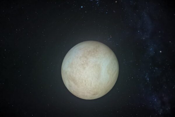 WhatsApp Image 2025-12-18 at 08.42.45(2)