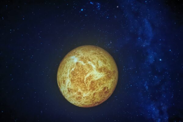 WhatsApp Image 2025-12-18 at 08.42.45(3)