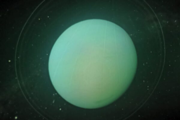 WhatsApp Image 2025-12-18 at 08.42.45(8)