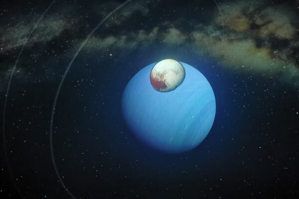 WhatsApp Image 2025-12-18 at 08.42.45(9)