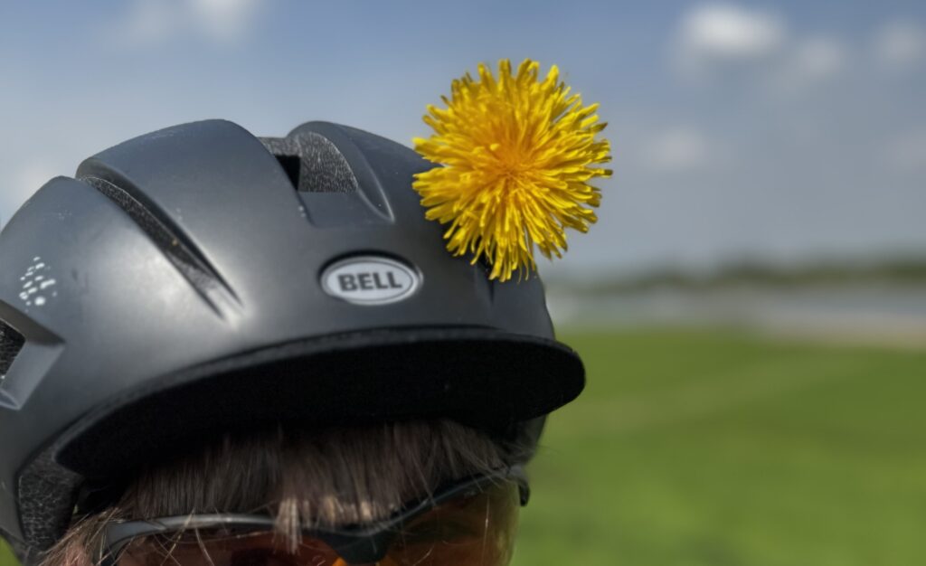 Schnell wie der Wind