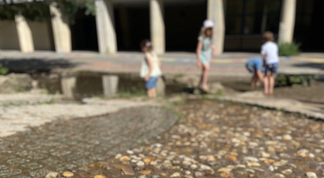 Ein paar Sommerimpressionen
