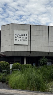 Unser Ausflug in den Aquazoo