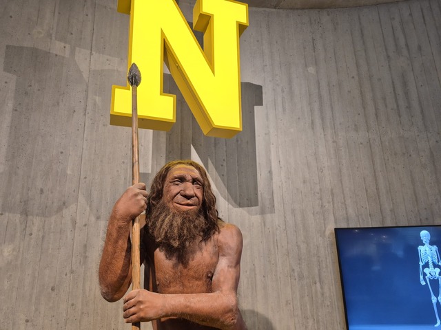 Ausflug ins Neanderthal-Museum